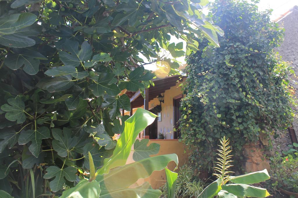 Casa Rural Las Rosas Agulo Cameră foto